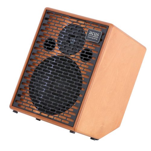 ACUS AMPLIFIER ONE FORSTRINGS 6T CUT WOOD