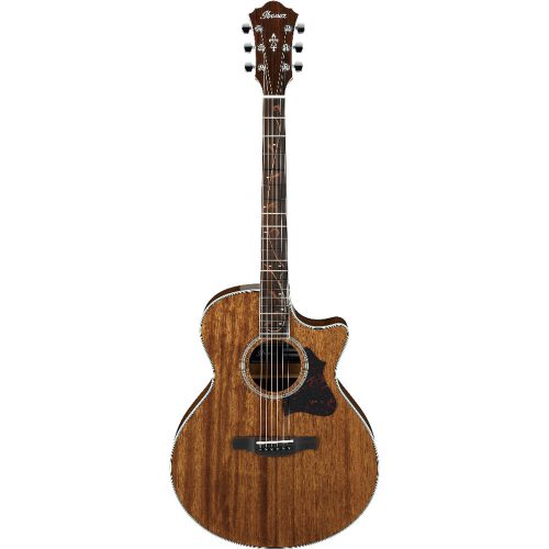 IBANEZ CHITARRA ACUSTICA ELETTRIFICATA AE245NT