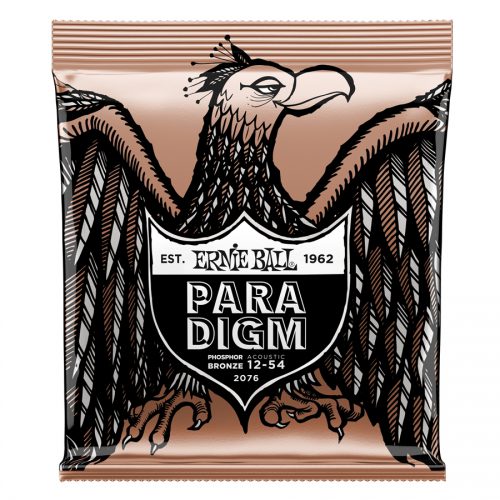 Ernie Ball muta di corde 2076 Paradigm Phosphor Bronze Medium Light 12-54