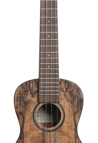 Kala KA-MG-C - Ukulele concerto Spalted Mango - c/borsa