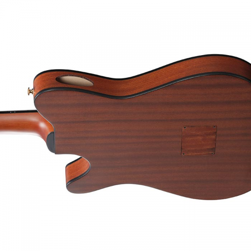 IBANEZ CHITARRA CLASSICA ELETTRIFICATA FRH10N NTF