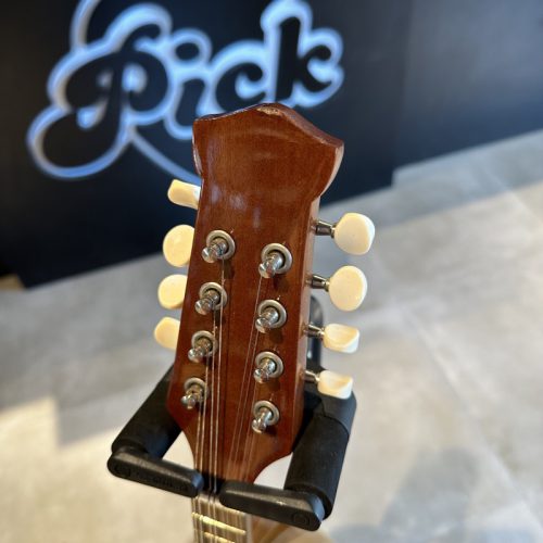 ALFREDO PRIVITERA MANDOLINO ACUSTICO + COVER USATO