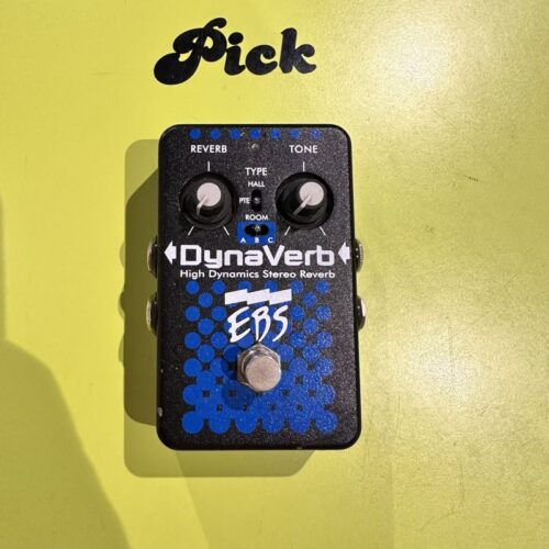 EBS DYNAVERB DYNAMIC STEREO REVERB RIVERBERO PER BASSO USATO