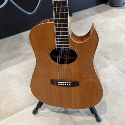 VINTAGE CHITARRA ACUSTICA ELETTRIFICATA USATO