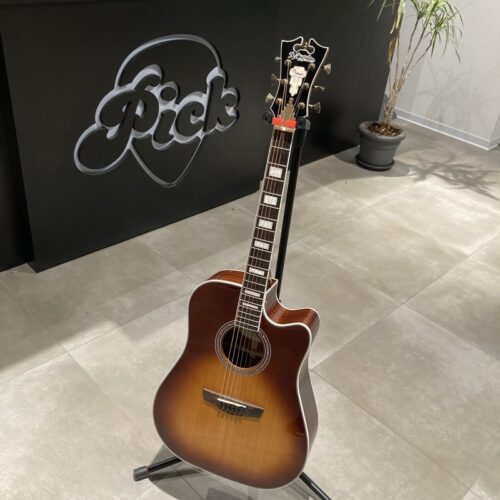 D'ANGELICO PREMIER BOWERY DAPD500ITBAPS CHITARRA ACUSTICA USATO